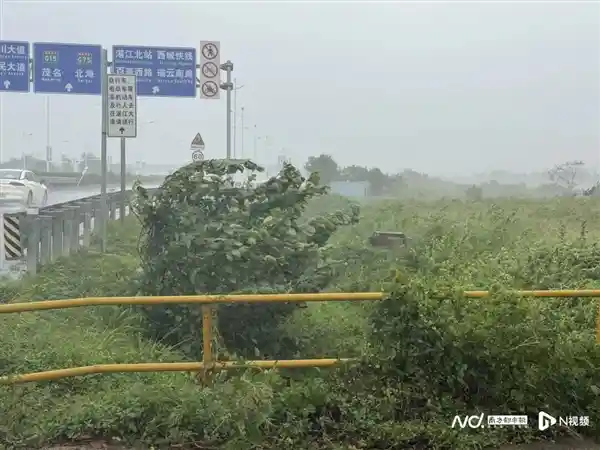 麦德姆狂袭广东！14级风王登陆，海水倒灌如巨兽吞噬海岸