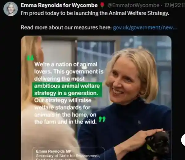 英国立法沸水禁令引爆餐饮风暴：活煮龙虾螃蟹成违法操作，人道击晕成本飙升引全民热议