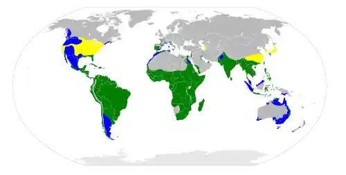 挖掘机轰鸣,鸟群竟成跟班?揭秘工地奇景背后的自然之谜