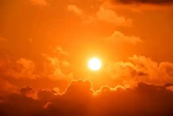 厨师高温厨房闷一天致热射病，多器官衰竭引关注