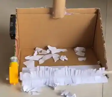 10岁发明家两小时打造纸箱扫地机，创意惊呆网友