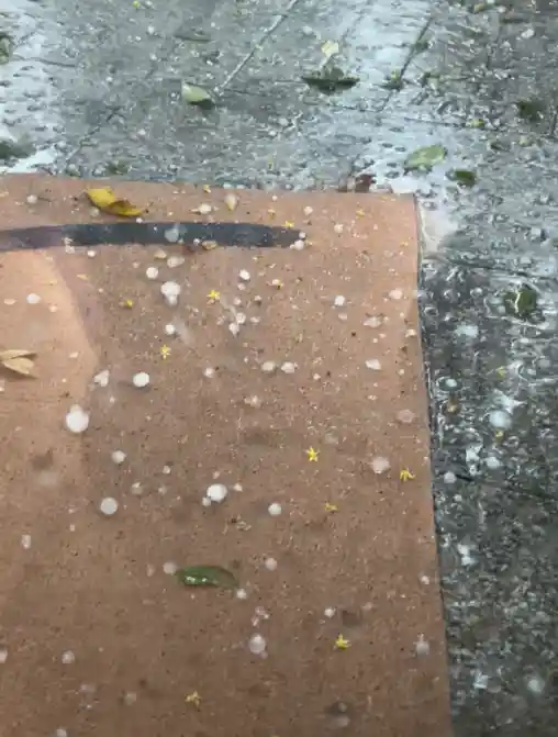 39℃高温突袭!杭州惊现冰火两重天,街头秒变冰雪奇缘