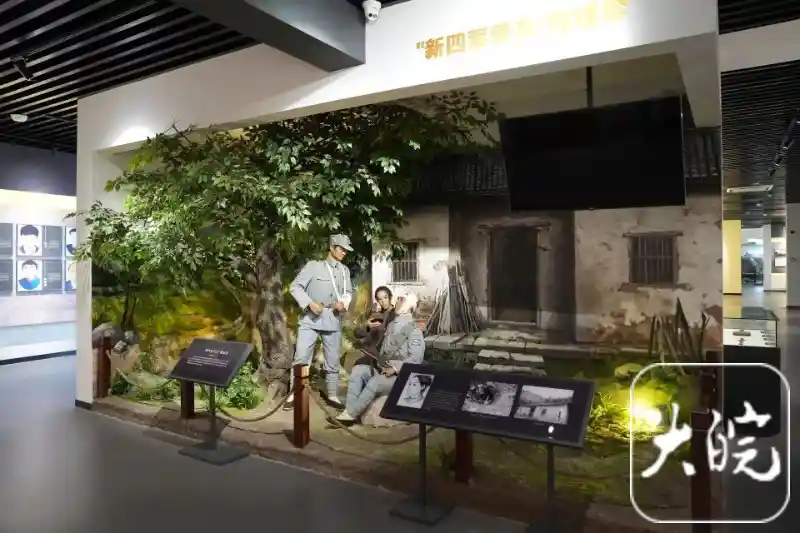 铁血柔情铸丰碑：新四军母亲与千里跃进大别山的红色传奇