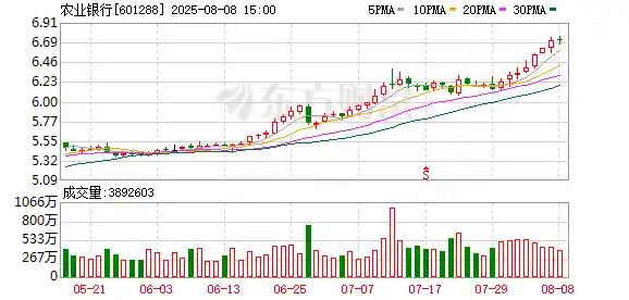 农业银行逆袭登顶，A股市值王易主引发投资新风暴