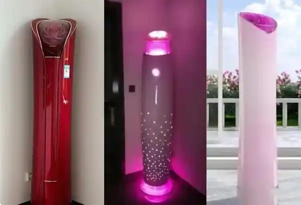 董明珠力挺玫瑰空调:全球首创,不爱也有人爱!