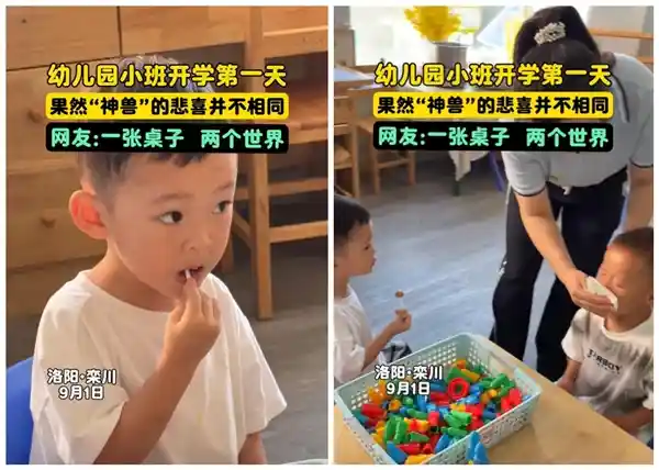 幼儿园开学上演冰火两重天：欢喜背后暗藏隐忧