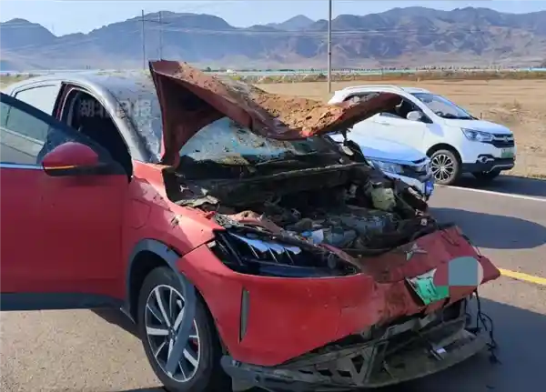 男子自驾游撞死8匹马，辅驾系统成焦点，车辆仅投保交强险引发热议