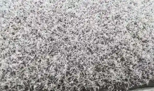 济南突降暴雨梨花针？专家揭秘背后两大元凶