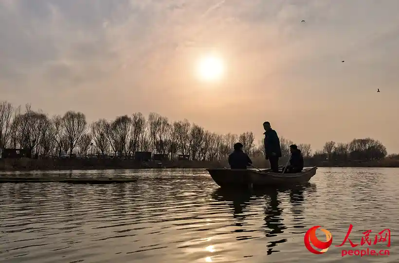 候鸟守护者:新春基层行