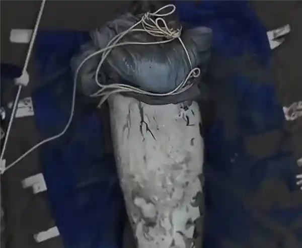 泰海岸惊现斩首美人鱼尸体，悬赏5万泰铢追凶