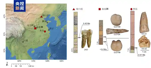 我国科学家首获直立人基因密码,破解人类演化终极之谜