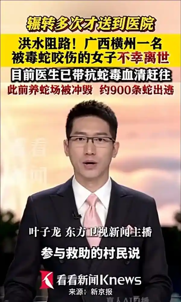 洪水中遭遇蛇类,这4招能救命!